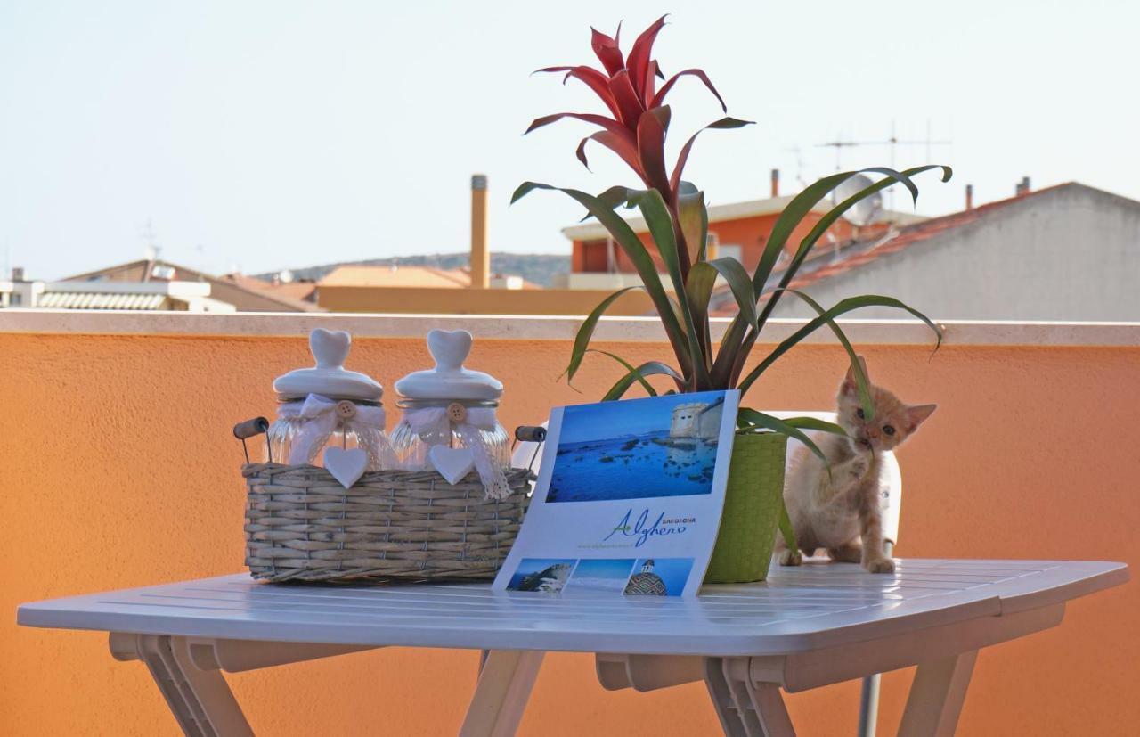 Bed & Breakfast Delle Rondini